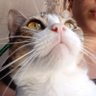 Rainha D profil fotoğrafı