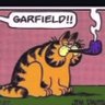 Garfield's profile picture