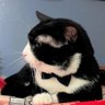 Dinker 63's profile picture
