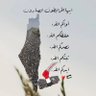 السيد ابو احمد الغزالي🔻🇾🇪🇵🇸🔻 的头像