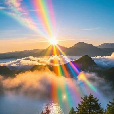 HGDA777's profile picture