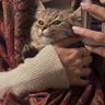 بـدور 的头像