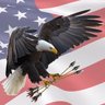 Arrowsmythe's profile picture