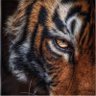 Tigerman's profile picture