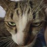 rapha_krenus's profile picture