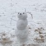 Randomdude's profile picture