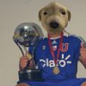 CachorraoDelBulla 的头像