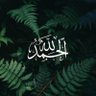 Фото профиля راكان