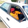 Фото профиля Teboho Mofokeng