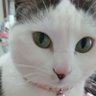 Profilbild von 豆美