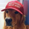 Profilbild von Grant from Earth 🇺🇸 → 🇦🇺 → 🇺🇸