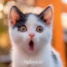 الزعيم profil fotoğrafı