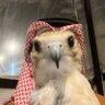 Profilbild von دحوم