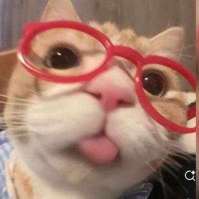 Akunnresmii's profile picture