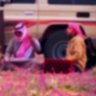 مالك ابن الريب 的头像