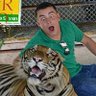 Purpledaddy's profile picture