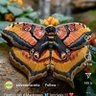 Milena profil fotoğrafı