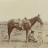 Фото профиля K. American west