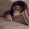 Profilbild von Abu.1131978