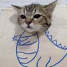 Profilbild von Meownster