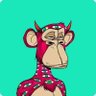 Daniel Burke's profile picture