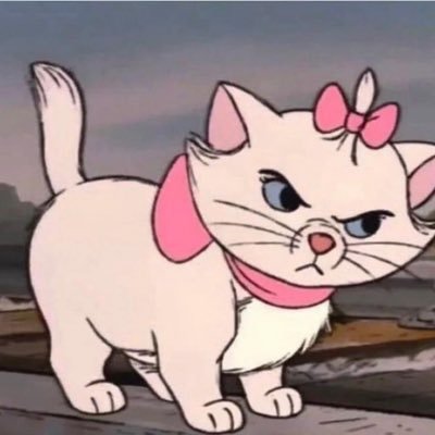 Formyyeji's profile picture