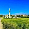 Jnoub 的头像