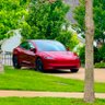 Tesla AI4's profile picture