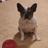 Lynnie's profile picture