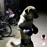 Jay R C 的头像