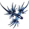 楓緒's profile picture