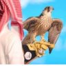 Фото профиля محمد القحطاني