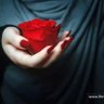 SoSo. .'s profile picture