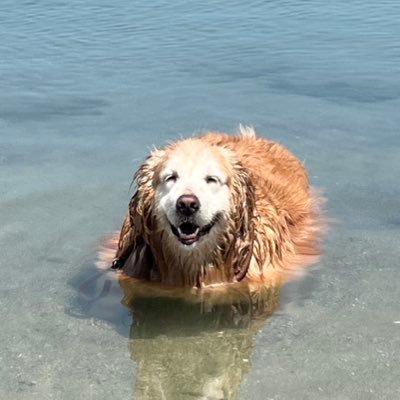 Clownzig2's profile picture