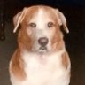 Profilbild von Marespz