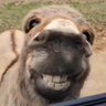 WorldNomadGuy's profile picture