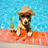 El Perrito Travieso 的头像