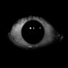Observer's profile picture