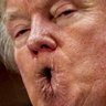 ruzzians pe do terrori sts( elon and trump too) profil fotoğrafı