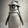 Interdimensional Forest Penguin ⚠️ profil fotoğrafı