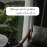 lol🌱 的头像