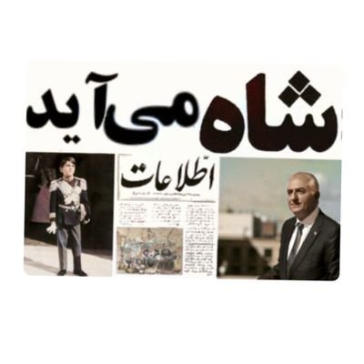 امیر شفیعی زاد's profile picture