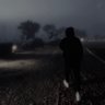 Y profil fotoğrafı