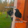 unknow profil fotoğrafı