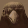 改's profile picture