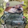 Жора's profile picture