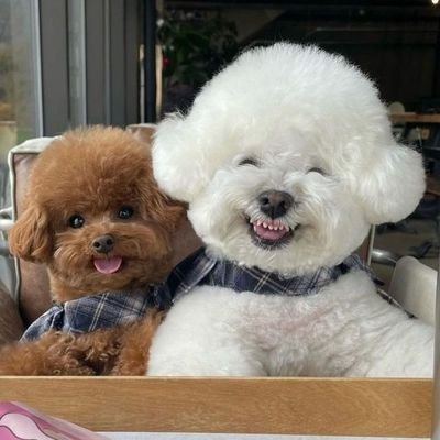 (⊼⌔⊼) • (ԾㅍԾ)'s profile picture