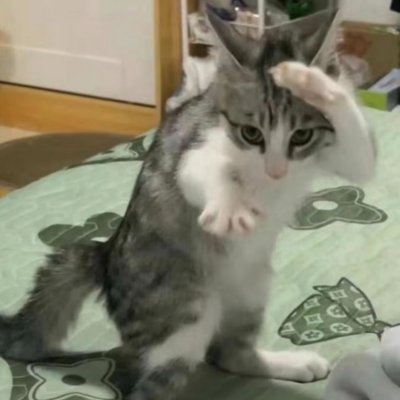 cuteyiyi7's profile picture