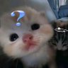 Profilbild von 萃取劑