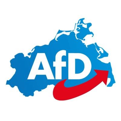 AfD_MV's profile picture